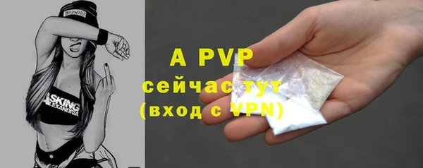 бошки Корсаков