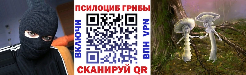 Псилоцибиновые грибы ЛСД  Купить  Райчихинск 